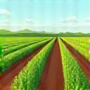 畑のイラストアイコン